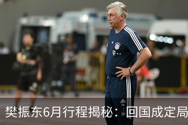 樊振东6月行程揭秘：回国成定局，他会与王励勤展开重要会谈吗？